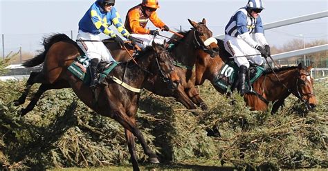 grand national betting calculator|Grand National Runners, Tips and Free Bets .